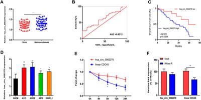 Hsa_circ_0062270 Promotes Tumorigenesis of Melanoma by Stabilizing the Linear Transcript Cell Division Cycle Protein 45